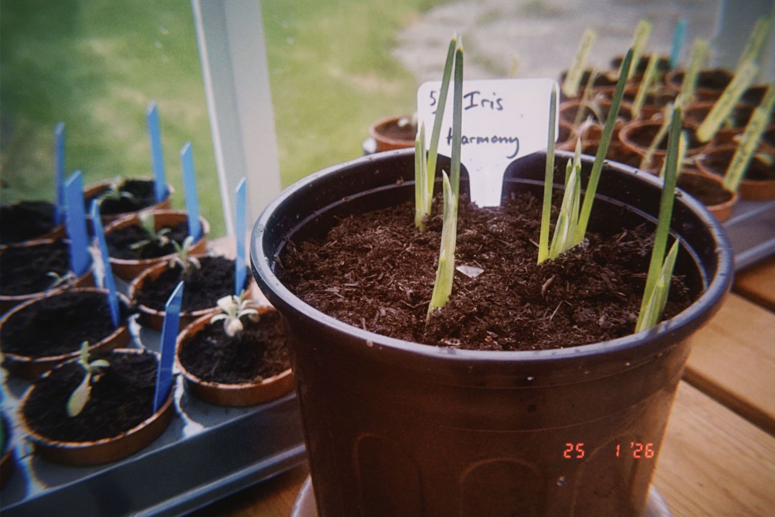 Project image for Studio and Life